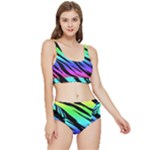 Rainbow Tiger Frilly Bikini Set