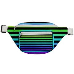 Fanny Pack 