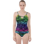 Rainbow Camouflage Cut Out Top Tankini Set