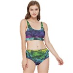 Rainbow Camouflage Frilly Bikini Set