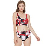 Checkerboard Splatter Frilly Bikini Set