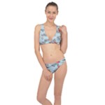 Christmas birds Classic Banded Bikini Set 