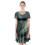 The Agave Heart Under The Light Short Sleeve V-neck Flare Dress