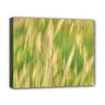 Golden Grass Abstract Canvas 10  x 8  (Stretched)