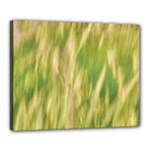 Golden Grass Abstract Canvas 20  x 16  (Stretched)