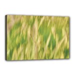 Golden Grass Abstract Canvas 18  x 12  (Stretched)