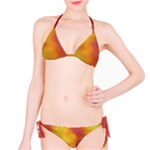 Flower Abstract Classic Bikini Set