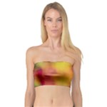 Flower Abstract Bandeau Top