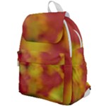 Flower Abstract Top Flap Backpack