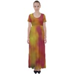 Flower Abstract High Waist Short Sleeve Maxi Dress