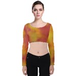 Flower Abstract Velvet Long Sleeve Crop Top