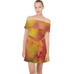 Flower Abstract Off Shoulder Chiffon Dress