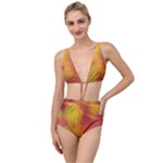 Flower Abstract Tied Up Two Piece Swimsuit