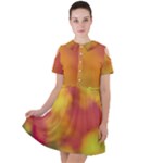 Flower Abstract Short Sleeve Shoulder Cut Out Dress 