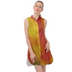 Flower Abstract Sleeveless Shirt Dress