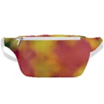 Flower Abstract Waist Bag 