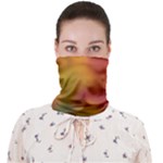 Flower Abstract Face Covering Bandana (Adult)