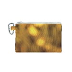 Orange Vibrant Abstract Canvas Cosmetic Bag (Small)