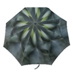 The Agave Heart In Motion Folding Umbrellas
