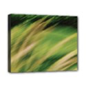 Canvas 10  x 8  (Stretched) 