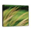 Canvas 14  x 11  (Stretched) 