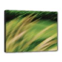 Canvas 16  x 12  (Stretched) 