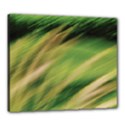 Canvas 24  x 20  (Stretched) 