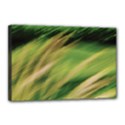 Canvas 18  x 12  (Stretched) 