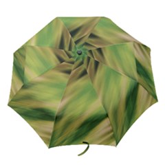 Folding Umbrella 