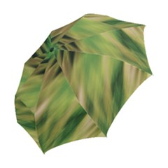 Folding Umbrella 