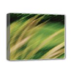 Color Motion Under The Light Deluxe Canvas 14  x 11  (Stretched)