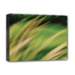 Color Motion Under The Light Deluxe Canvas 16  x 12  (Stretched) 