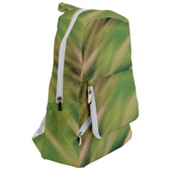 Travelers  Backpack 