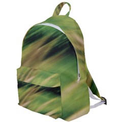 The Plain Backpack 