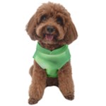 Green Vibrant Abstract No4 Dog Sweater