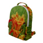 Orange On The Green Flap Pocket Backpack (Large)