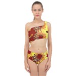 Sunflowers Spliced Up Two Piece Swimsuit