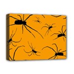Scary Long Leg Spiders Deluxe Canvas 16  x 12  (Stretched) 
