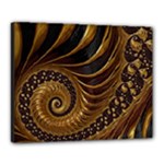 Shell Fractal In Brown Canvas 20  x 16  (Stretched)