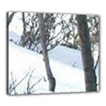winter forest Canvas 24  x 20  (Stretched)