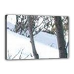 winter forest Canvas 18  x 12  (Stretched)