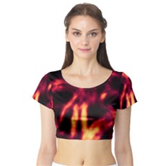 Short Sleeve Crop Top 