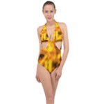 Golden Abstract Stars Halter Front Plunge Swimsuit