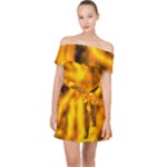 Golden Abstract Stars Off Shoulder Chiffon Dress
