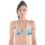 Gradientcolors Plunge Bikini Top