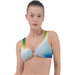 Gradientcolors Ring Detail Bikini Top