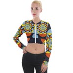 Abstract pattern geometric backgrounds   Long Sleeve Cropped Velvet Jacket