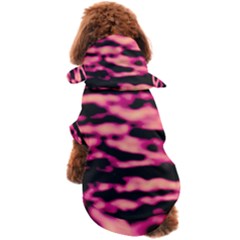 Dog Coat 