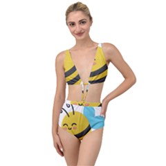 Tied Up Two Piece Swimsuit 