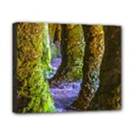 Grutas Del Palacio, Flores, Uruguay Canvas 10  x 8  (Stretched)